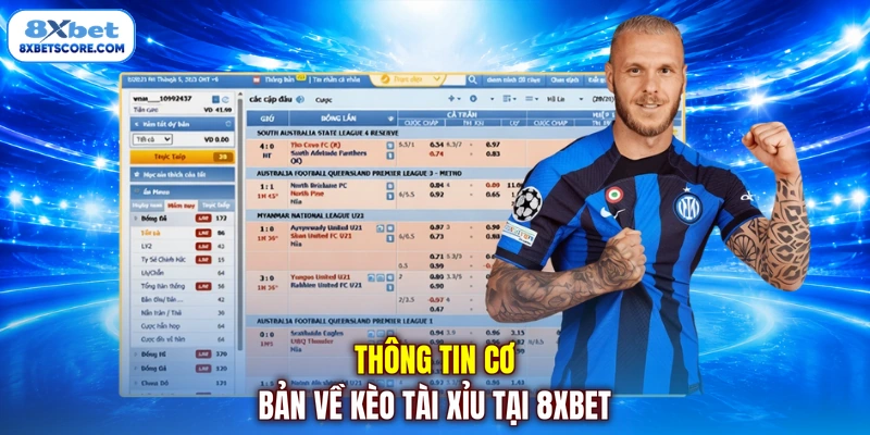 Thông tin cơ bản về kèo tài xỉu tại 8xbet